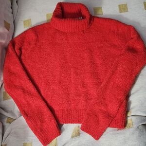 Cozy‎ Red Turtleneck Sweater